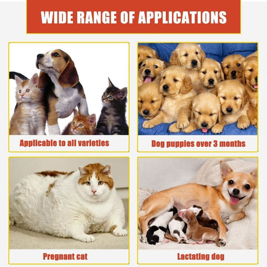 Pet Medical Yegbong Hemostatic Powder 50G