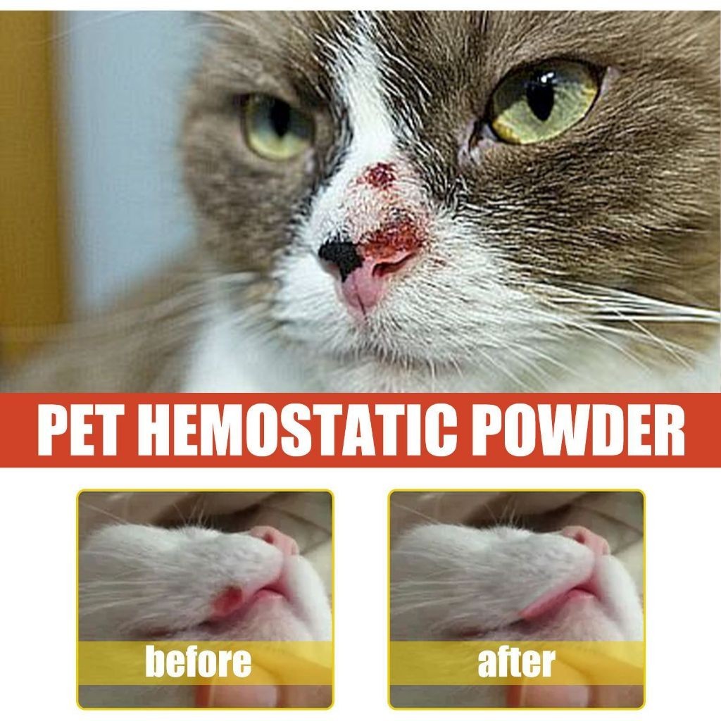 Pet Medical Yegbong Hemostatic Powder 50G
