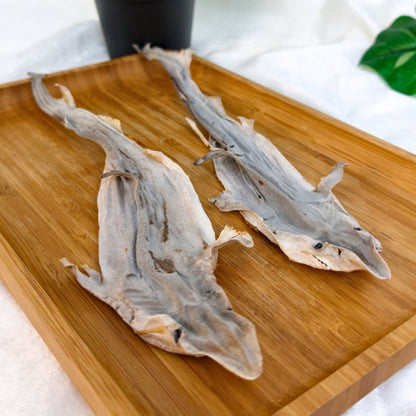 XYG Air-Dried Baby Shark 1PCS