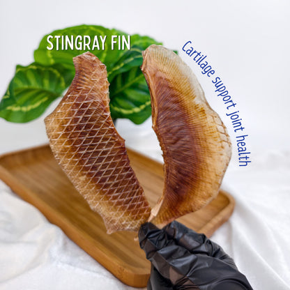 XYG Air-Dried Stingray 2PCS