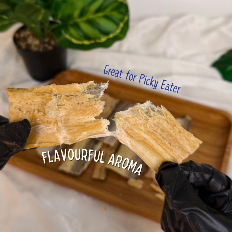 XYG Air-Dried Golden Eel Wafer 60g