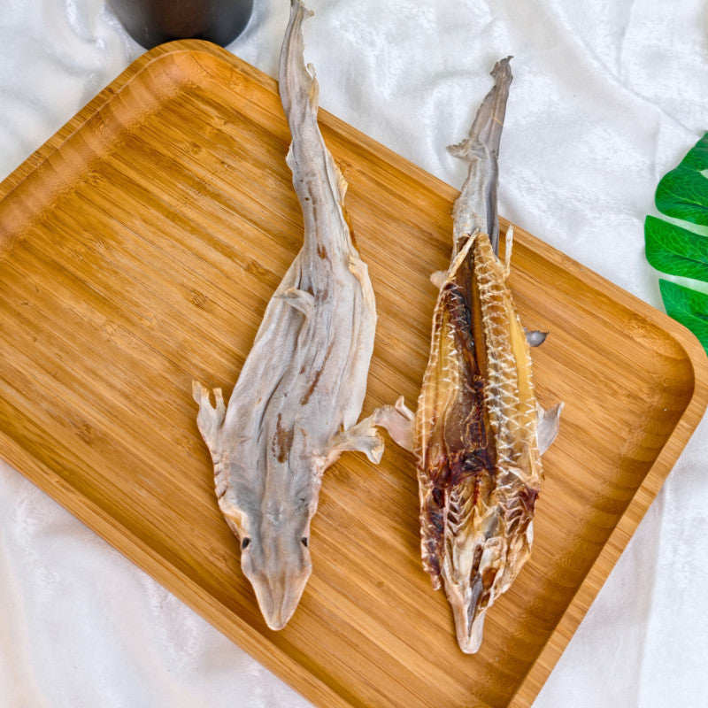 XYG Air-Dried Baby Shark 1PCS