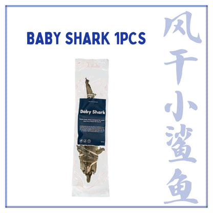 XYG Air-Dried Baby Shark 1PCS