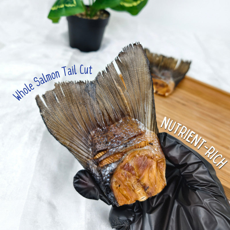 XYG Air-Dried Salmon Tail 1PCS