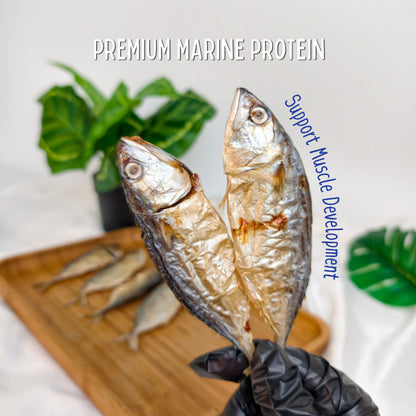 XYG Air-Dried Mackerel Fish 6PCS