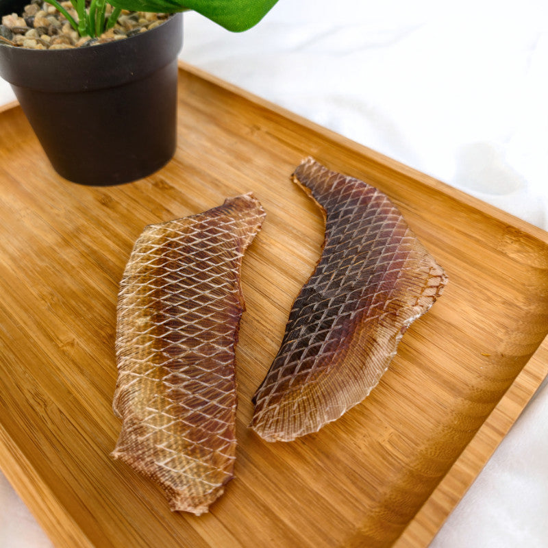XYG Air-Dried Stingray 2PCS
