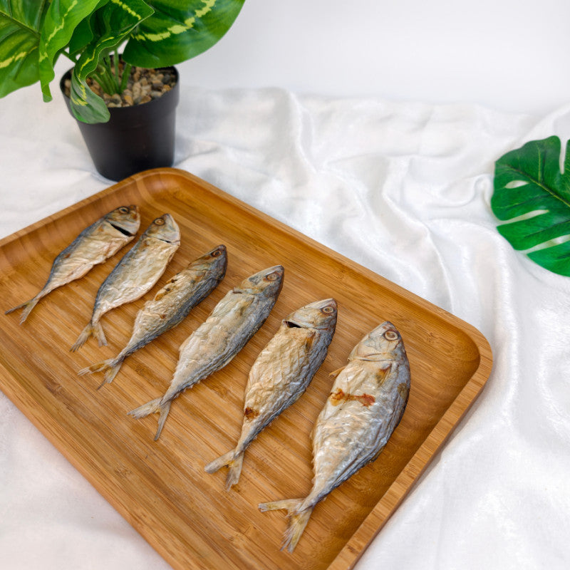 XYG Air-Dried Mackerel Fish 6PCS