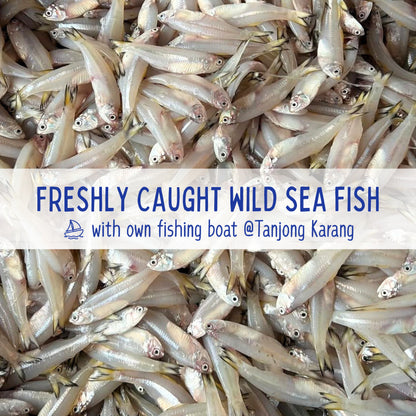 XYG Air-Dried Anchovy 40g/90g