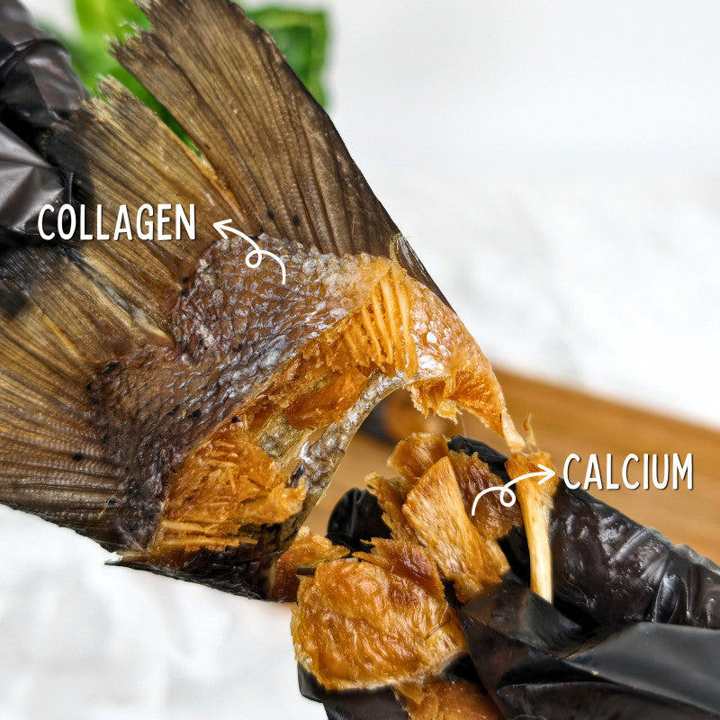 XYG Air-Dried Salmon Tail 1PCS