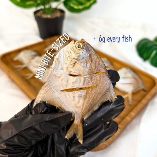 XYG Air-Dried Mini Pomfret 40g/90g