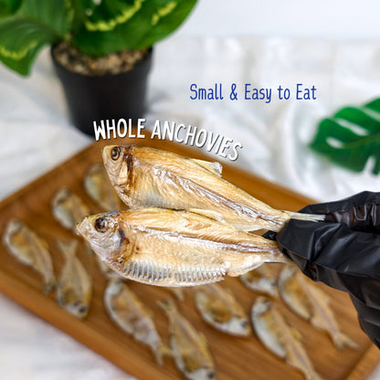 XYG Air-Dried Anchovy 40g/90g