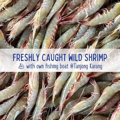 XYG Air-Dried Crispy Shrimp 30g/70g