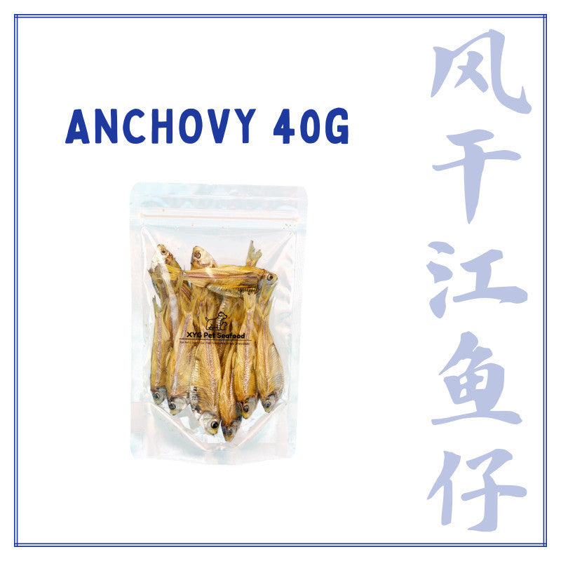 XYG Air-Dried Anchovy 40g/90g