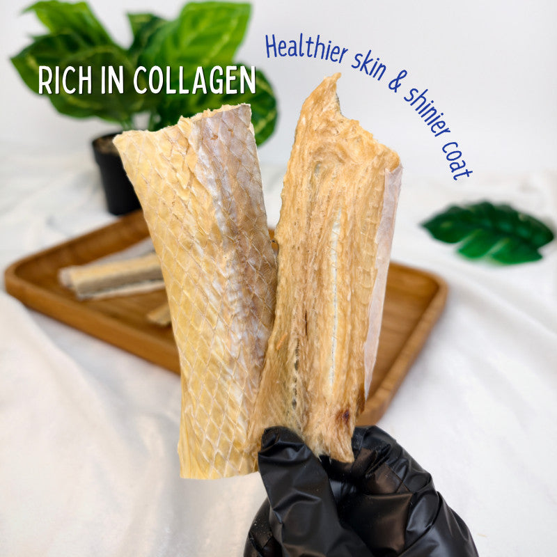 XYG Air-Dried Golden Eel Wafer 60g