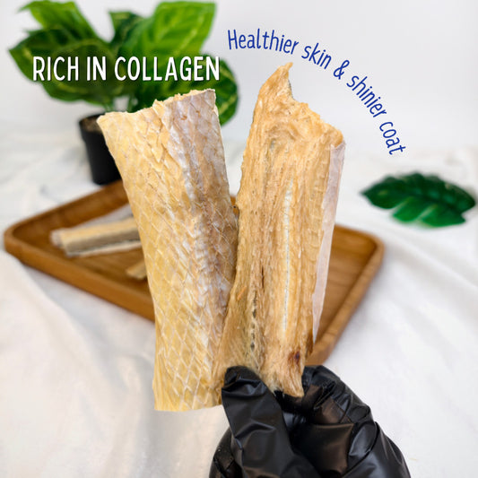XYG Air-Dried Golden Eel Wafer 60g