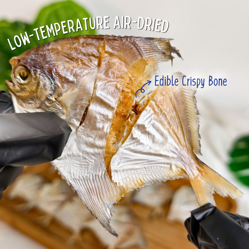 XYG Air-Dried Mini Pomfret 40g/90g