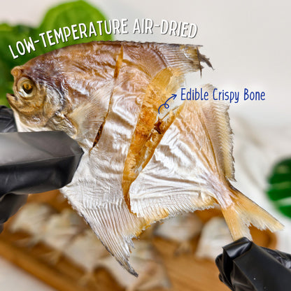 XYG Air-Dried Mini Pomfret 40g/90g