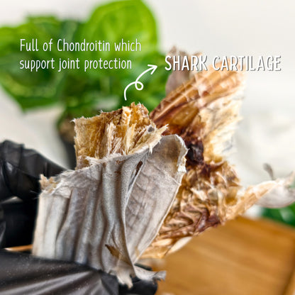 XYG Air-Dried Baby Shark 1PCS